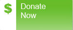Donate_now_walk2012