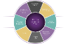 Dementia Care Practice - Circle Chart icon
