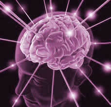 purple-brain.jpg