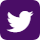 twitter-icon-purple.png