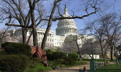 photo of US Capitol