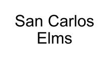 San Carlos Elms (Tier 4)