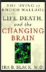 Click here for more information about The Dying of Enoch Wallace-Life and Death of the Changing Brain