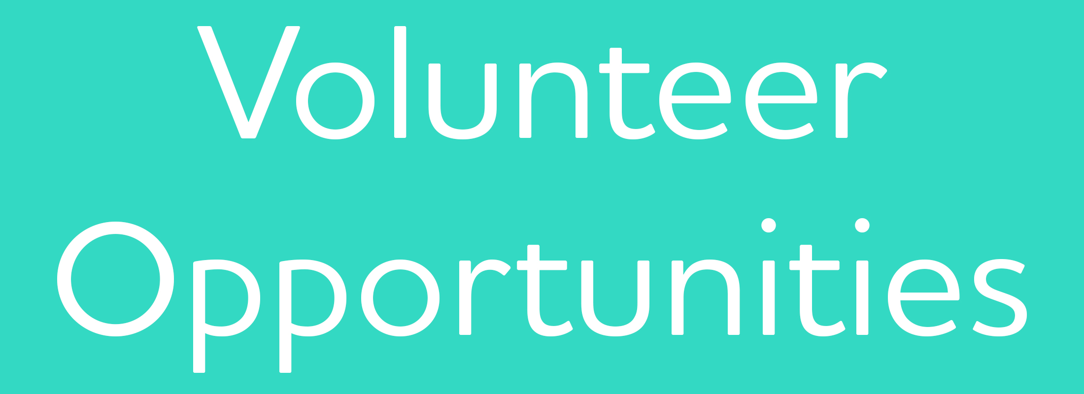 2018 Volunteer Opportunities.jpg