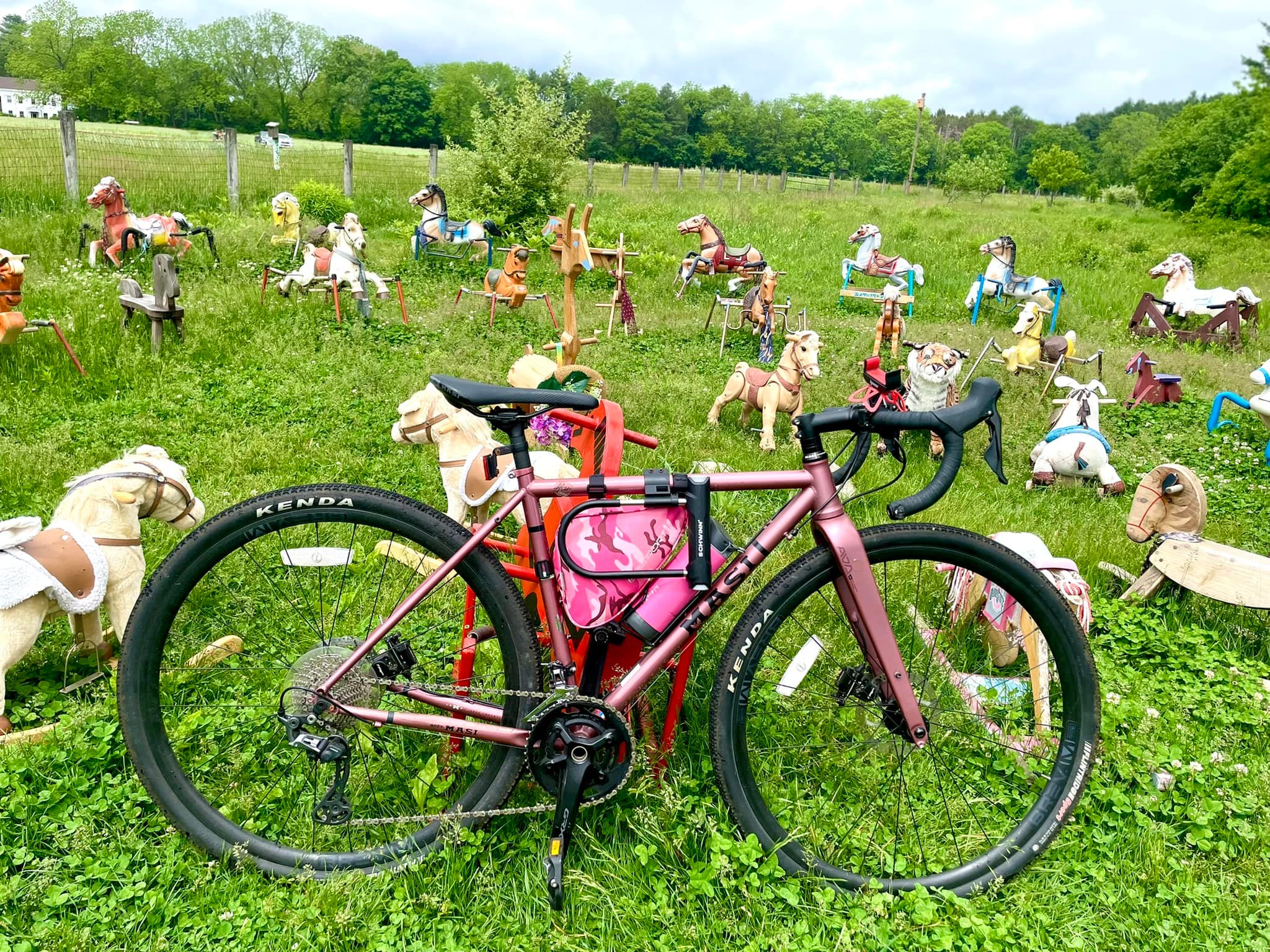 Bicicleta Carla D'Avanzo Violetta.jpg