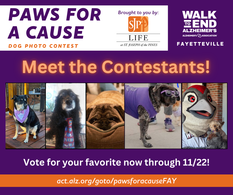 Paws for a Cause, FAY, meet contestants