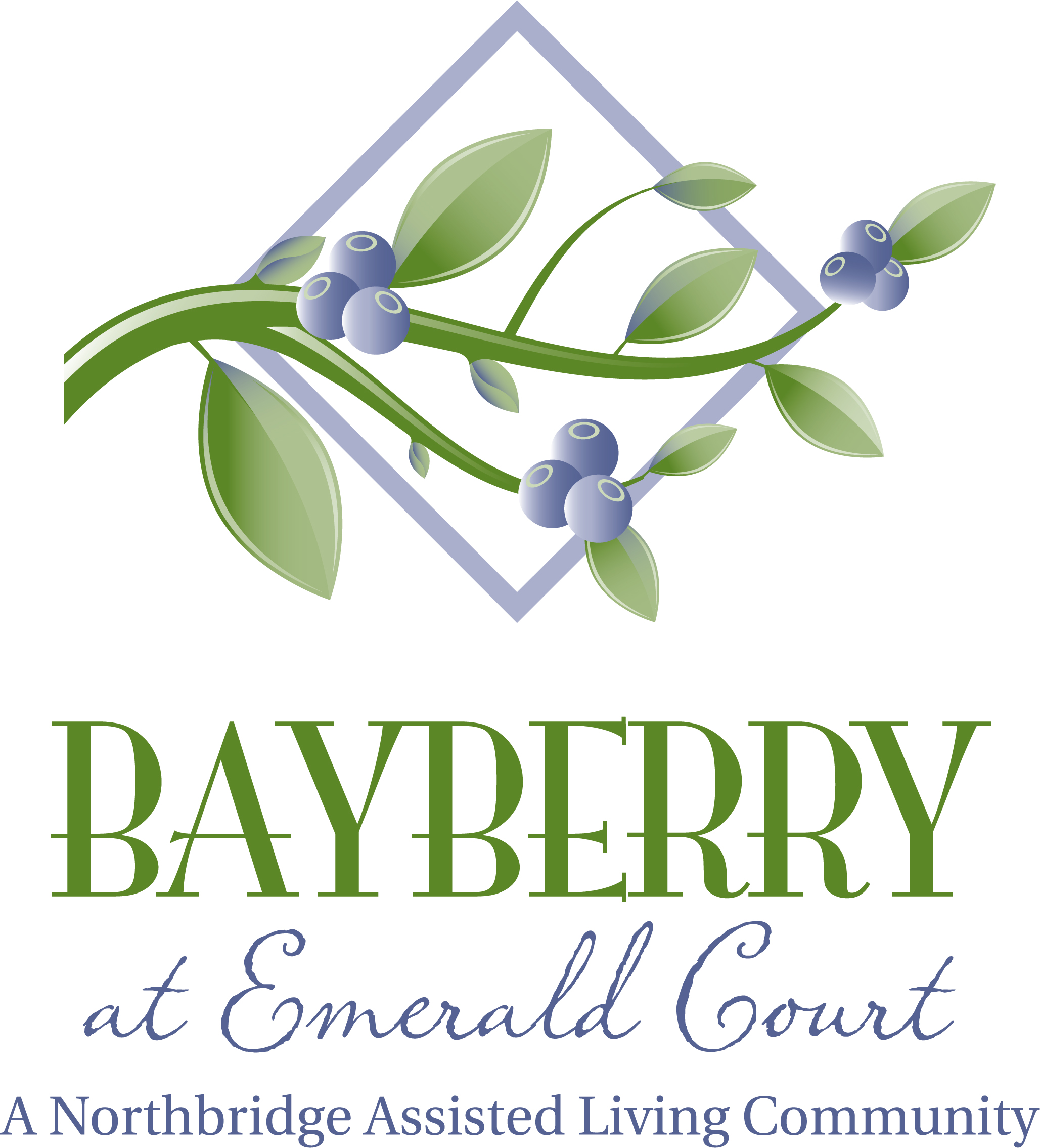 NEM Bayberry_Color Logo.jpg