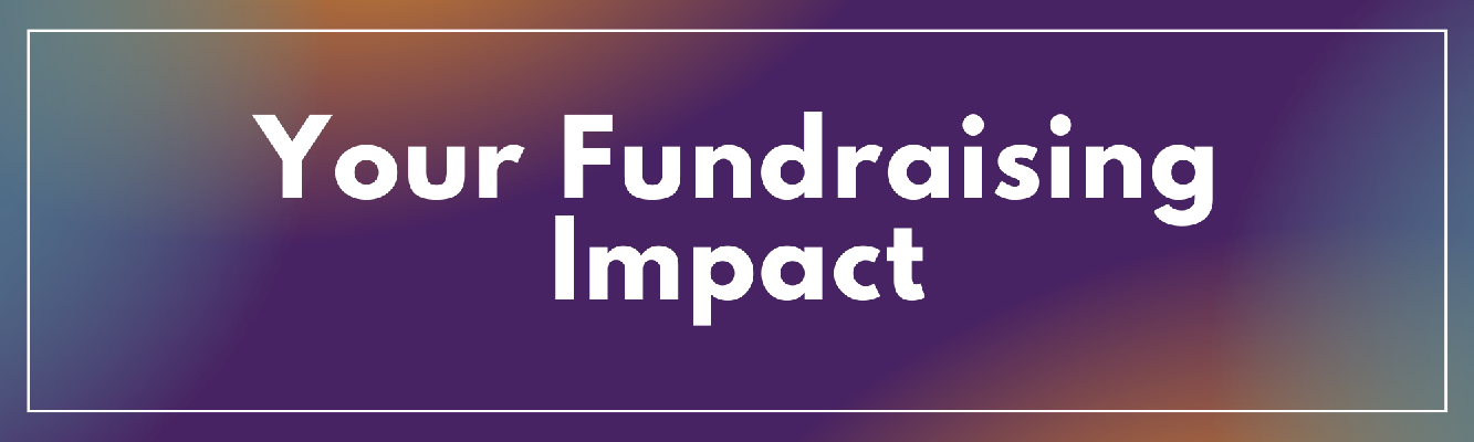 Fundraising Impact Buttons