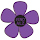 Flor Purpura