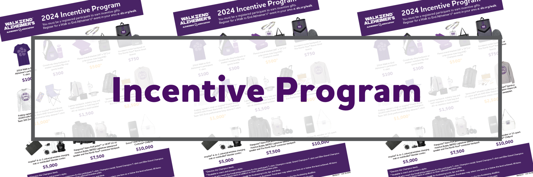 incentive_program_-_walk_page_2024252478.png