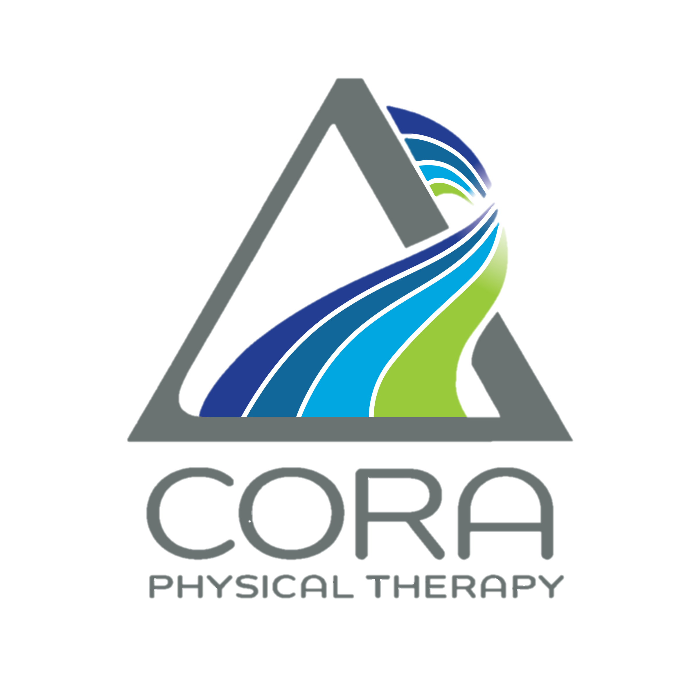 D. CORA Physical Therapy (Steel)