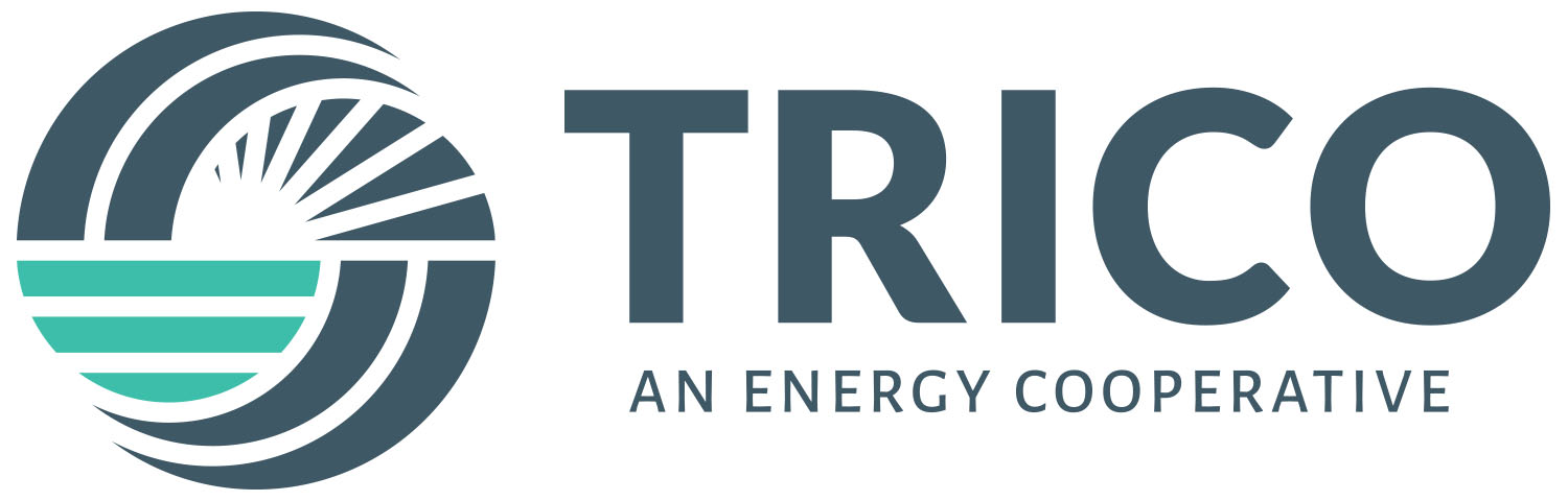 06. Trico Electric Cooperative, Inc. (Plata)