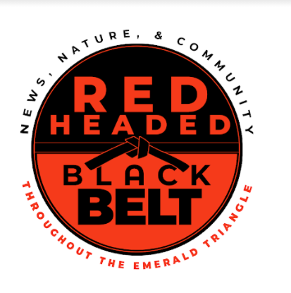 "8. Redheaded Blackbelt (Media)."