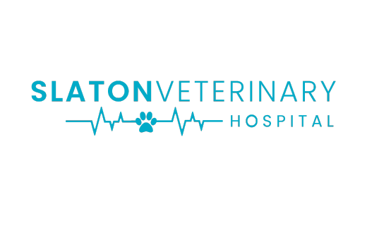 A Slaton Veterinary Hospital (Tier 2)