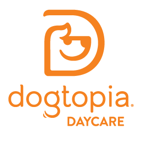 dogtopia (Nivel 3)