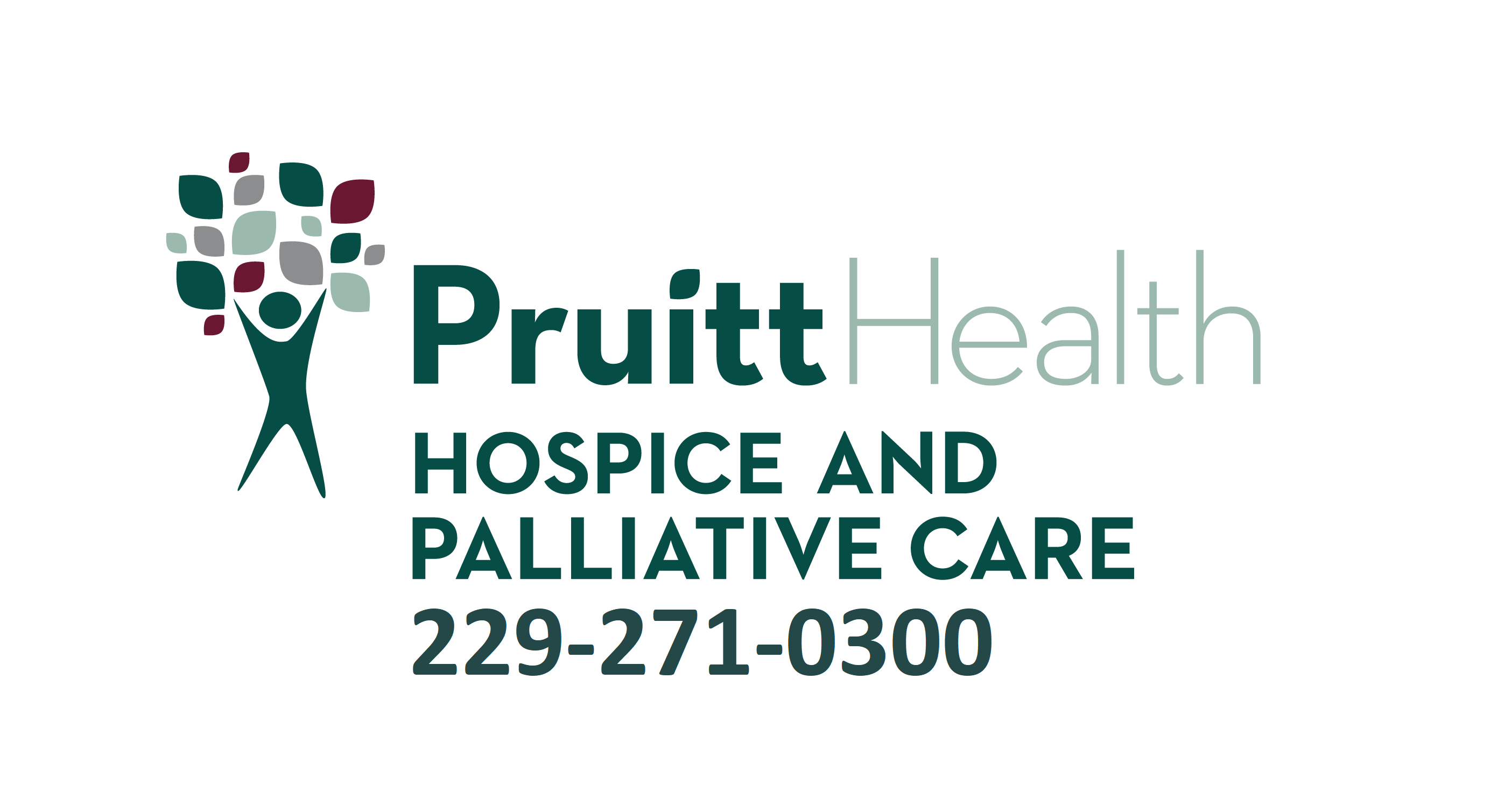 1. Pruitt Health Hospice (Premier)