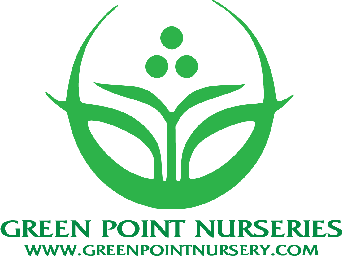 4. Green Point Nurseries, Inc. (Tier 4)