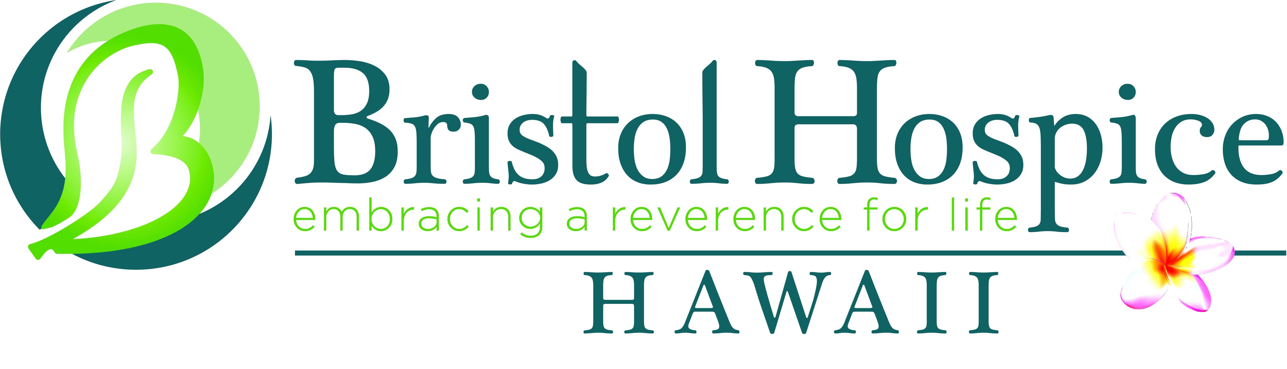 6. Bristol Hospice, Hawaii - LLC (Silver)