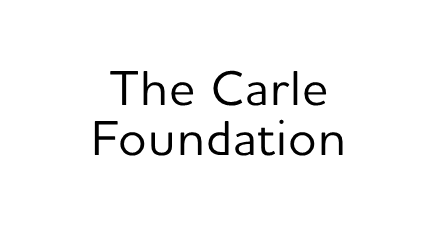 Fundación D. Carle (Bronce)