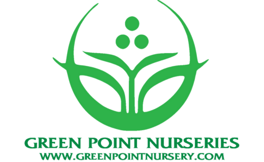 Green Point Nurseries (Tier 4)