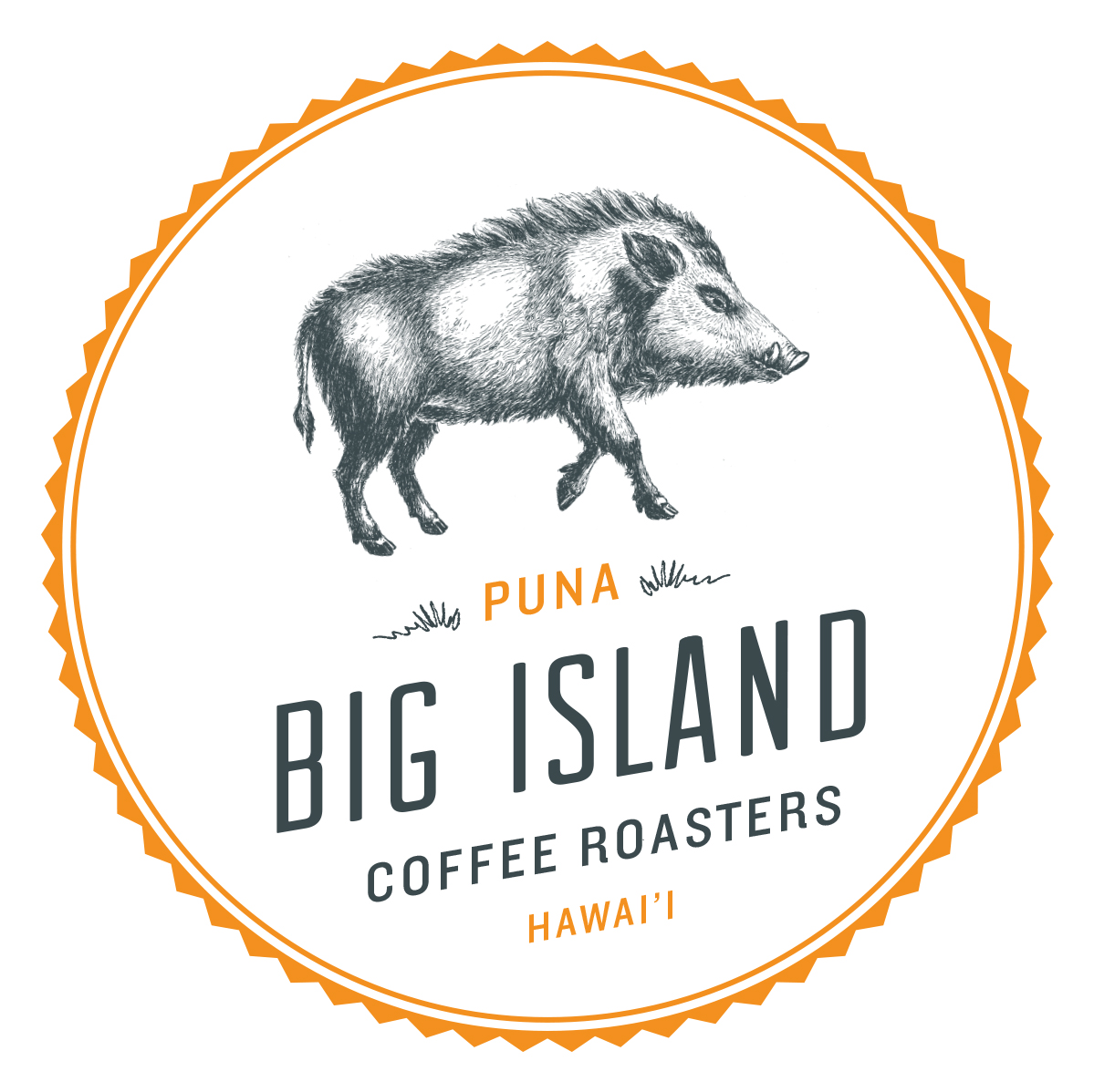 Big Island Coffee Roasters (Tier 4)