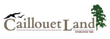 Cailliouet Land, LLC (Bronze) 