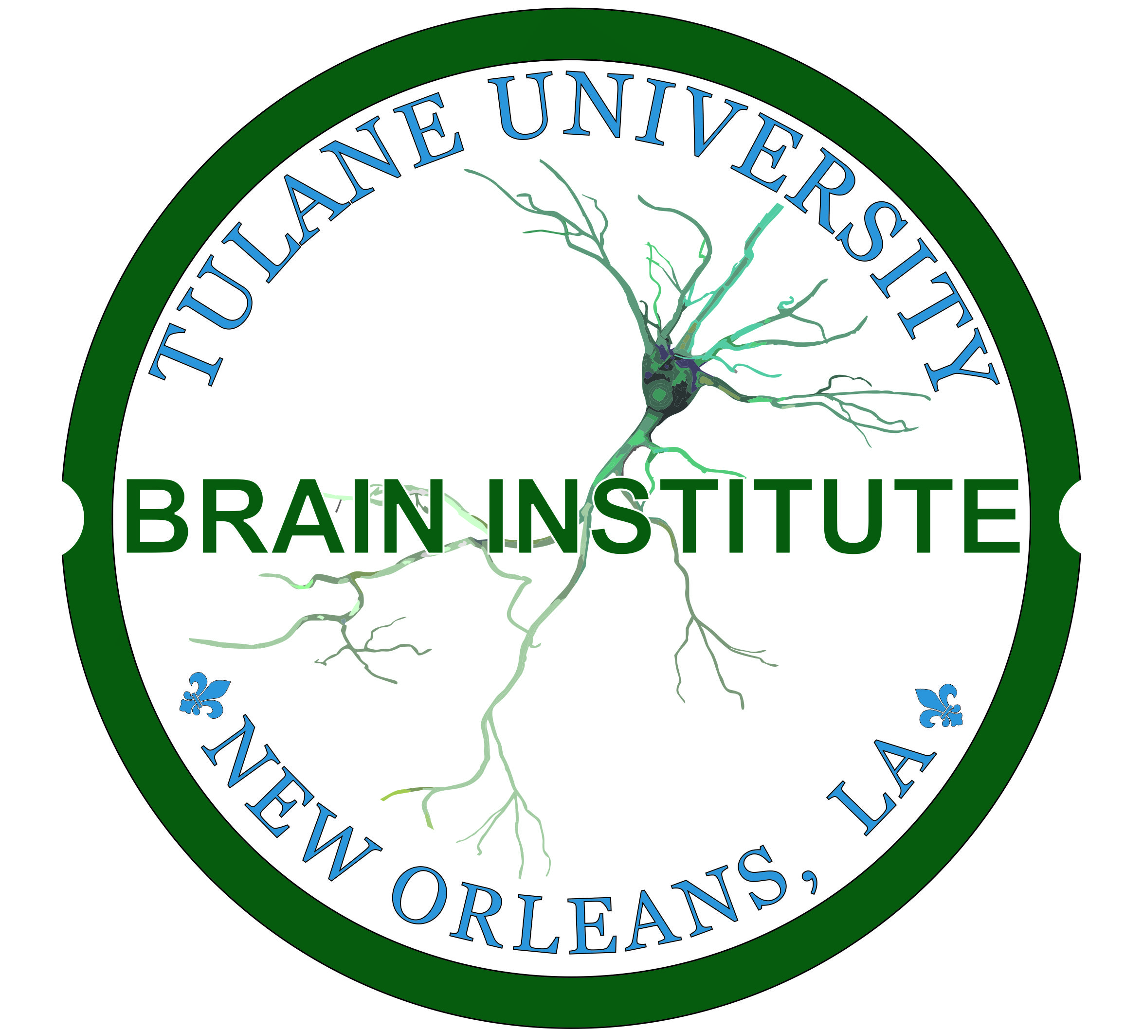 Tulane Brain Institute (Bronze) 