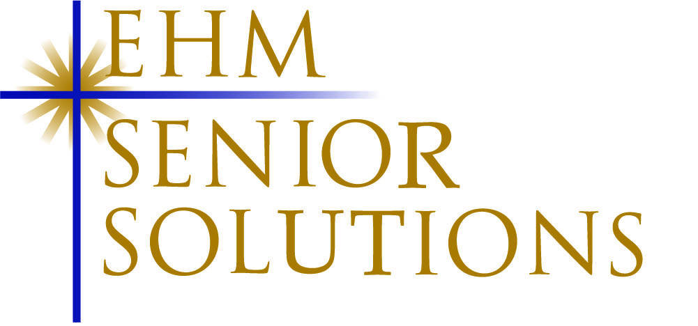 E. Soluciones para personas mayores de EHM (Nivel 4)