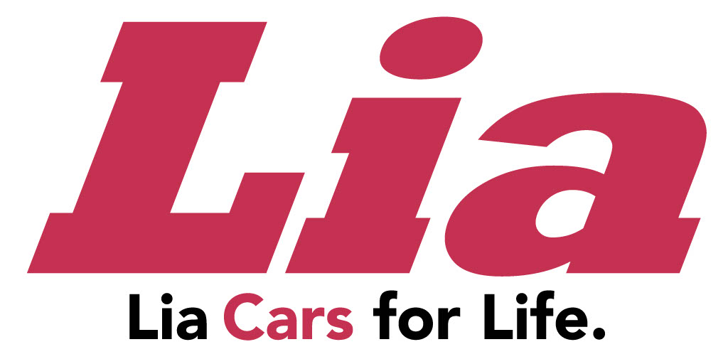 D. Lia Auto Group (Silver)