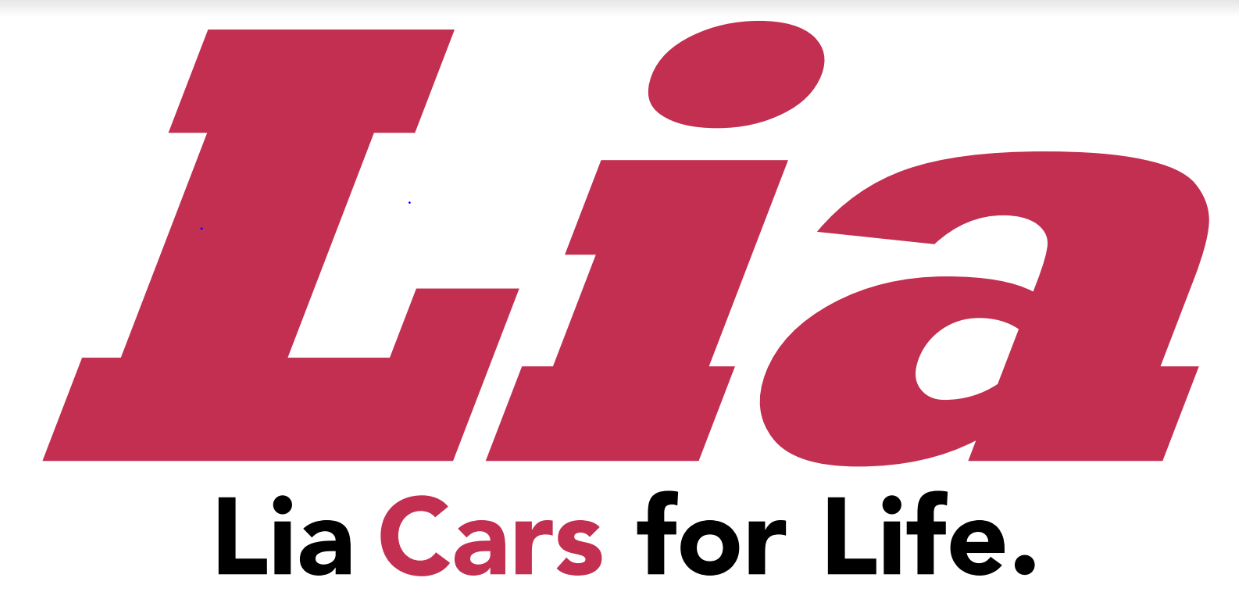 4a. Lia Auto Group (Silver)