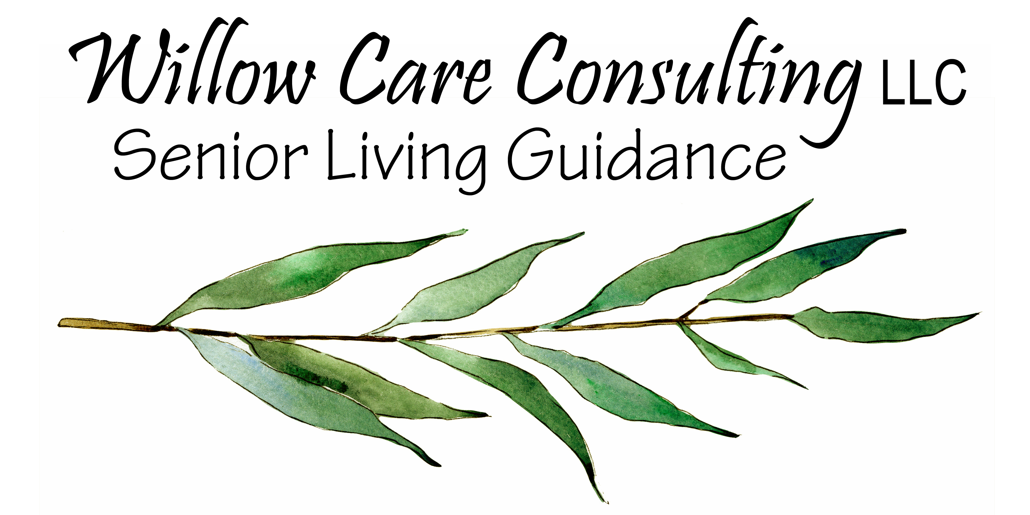 #4 b Willow Care Consulting, LLC (Plata)