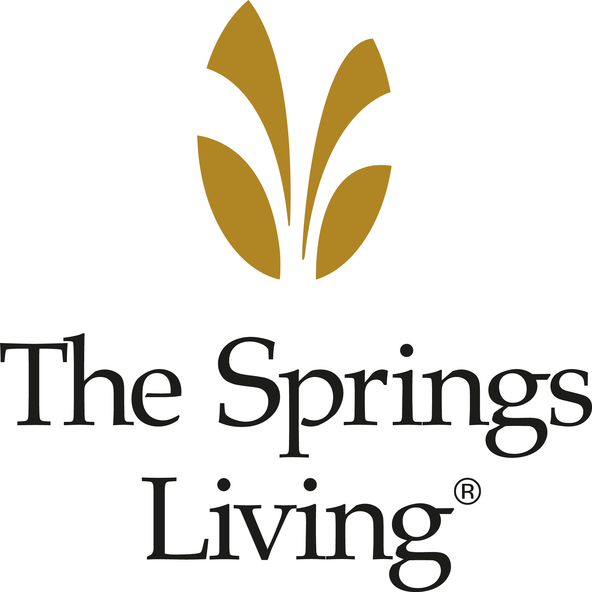 #3a The Springs Living (Entretenimiento exclusivo)