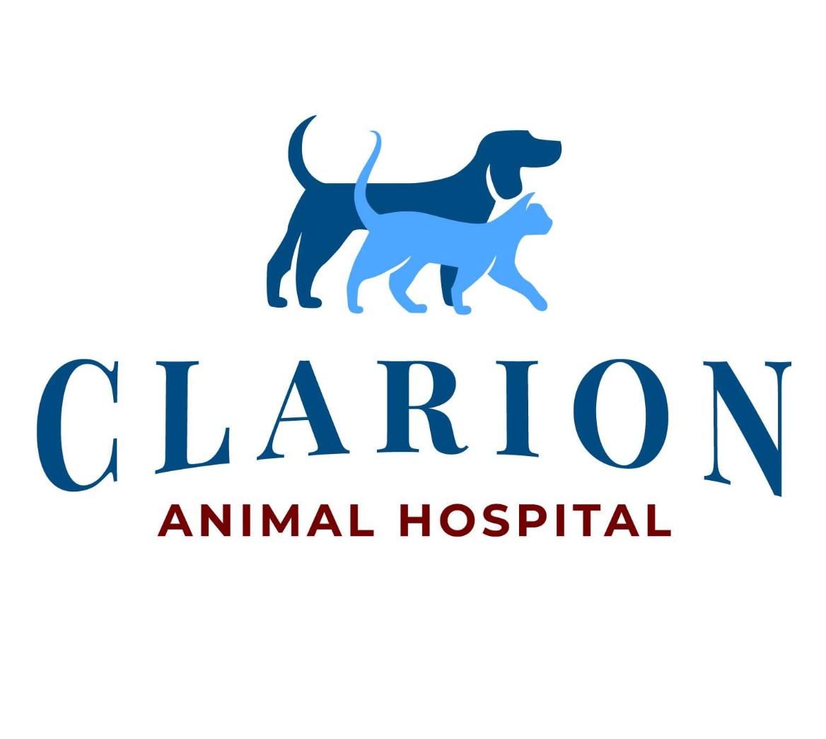 Hospital de animales Clarion (Nivel 4)
