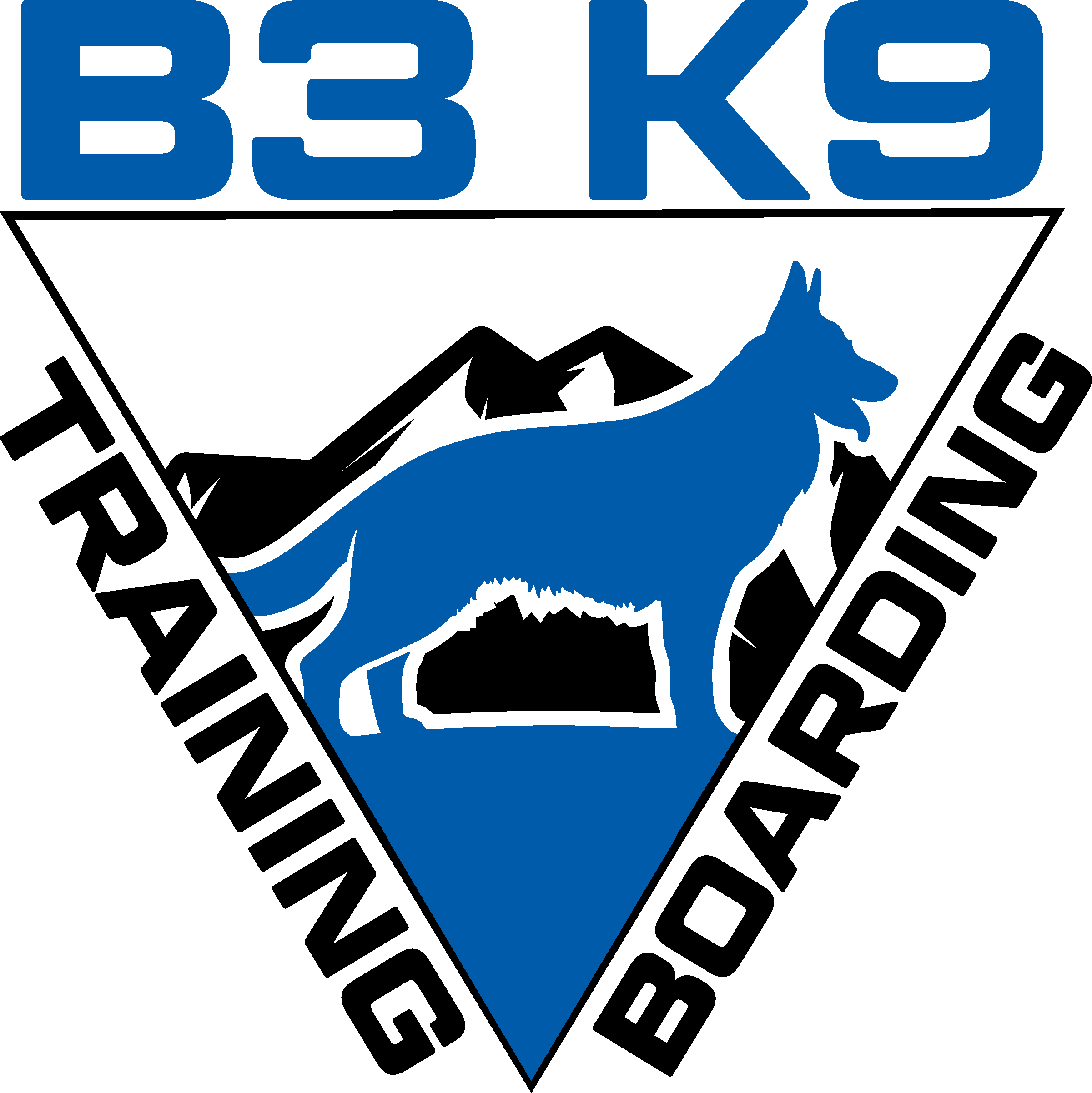 B3K9 (Nivel 2)
