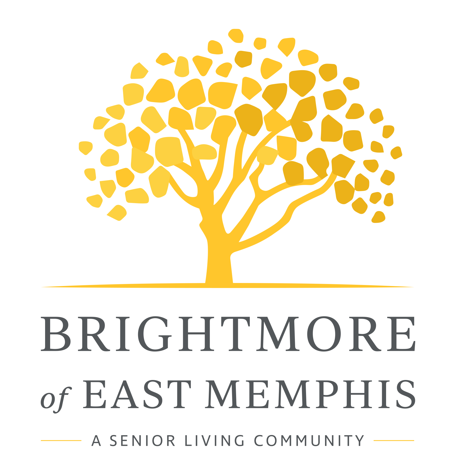 Brightmore of East Memphis (Tier 4)