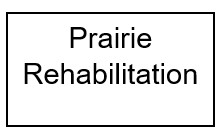 Rehabilitación de Prairie (Nivel 4)