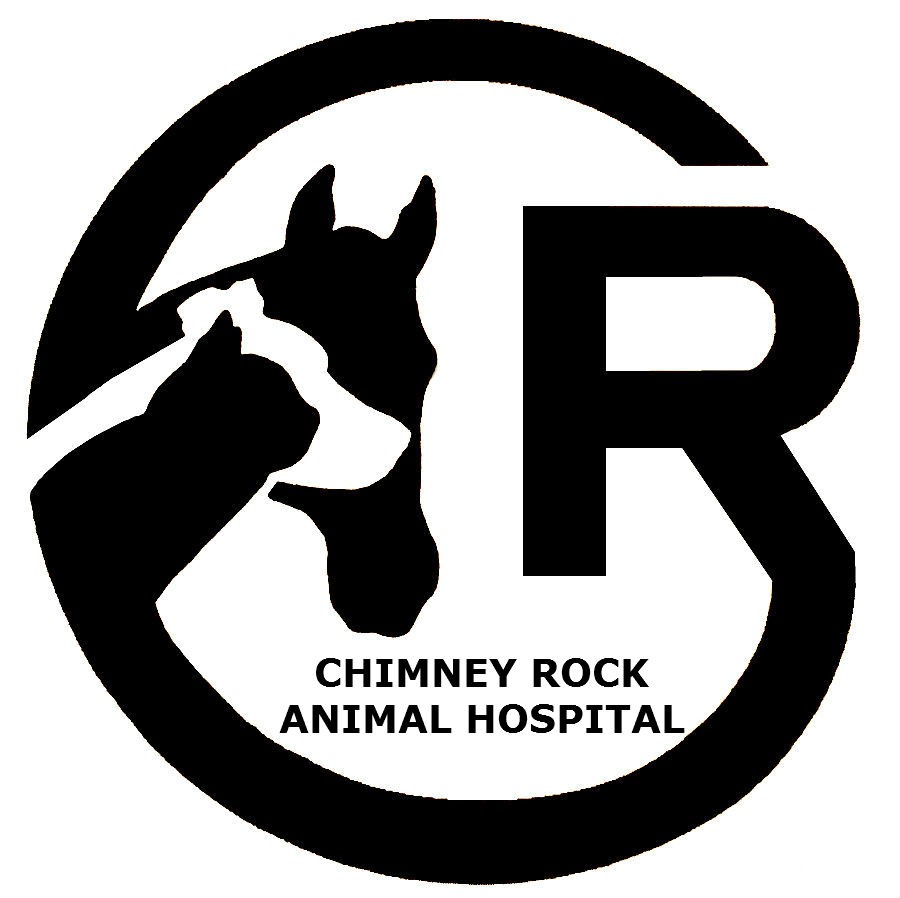 Chimney Rock Animal Hospital (Tier 3)