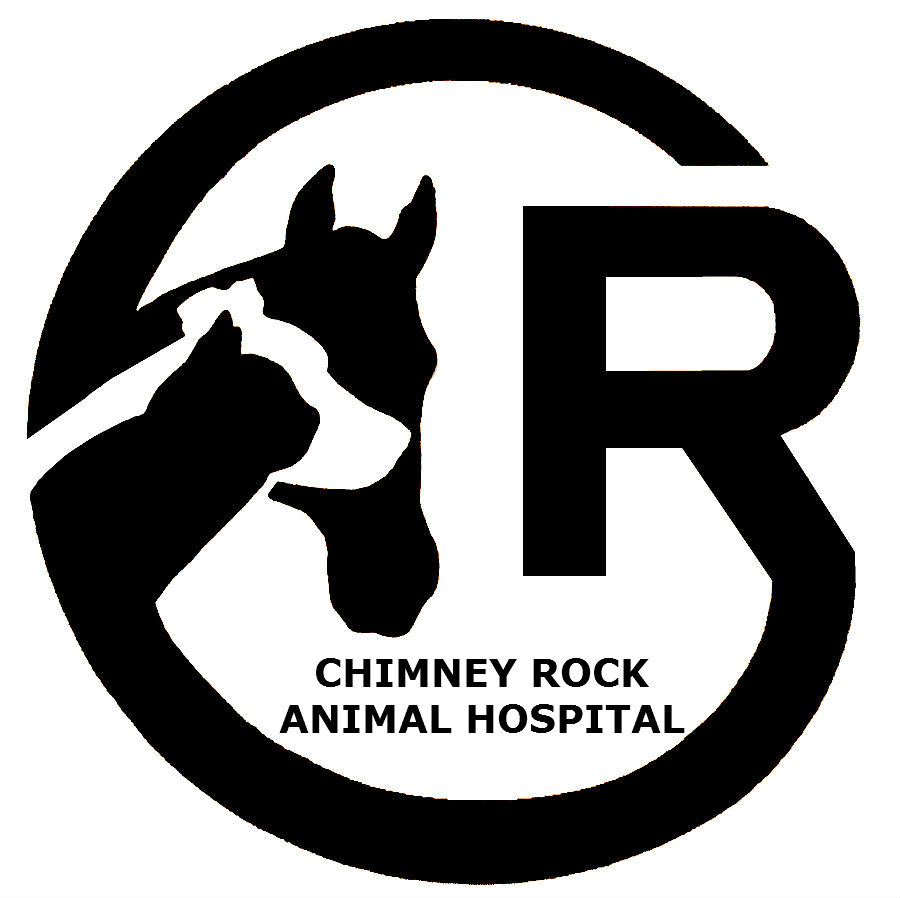 Hospital de animales de Chimney Rock (nivel 4)