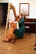 1982 Church Harpist