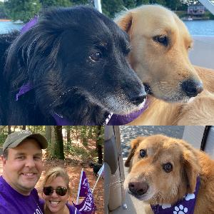 All Paws to EndALZ!