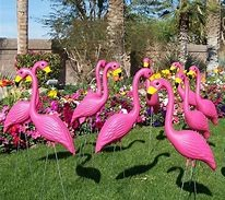 The Bartlett Flamingos