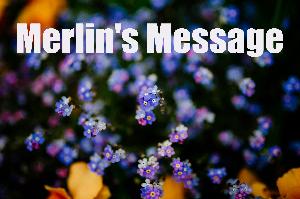 Please Donate to Merlin's Message Today!