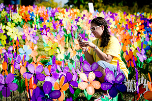 Las flores de diferentes colores representan a los que perdieron la enfermedad, a los que luchan contra ella en este momento, a los cuidadores y a los partidarios generales de la Alzheimer's causa. Las flores blancas algún día representarán Alzheimer's sobrevivientes